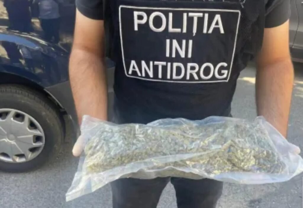 Marijuana, mefedronă și mii de pastile ecstasy  introduse în țară prin contrabandă, ridicate de ofițerii Antidrog