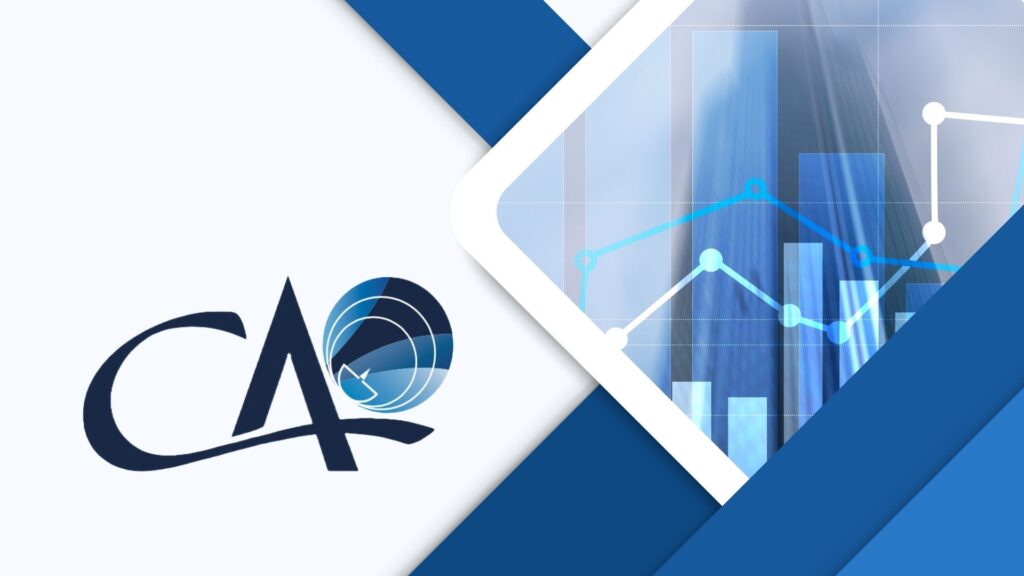 analiza rapoartelor anuale