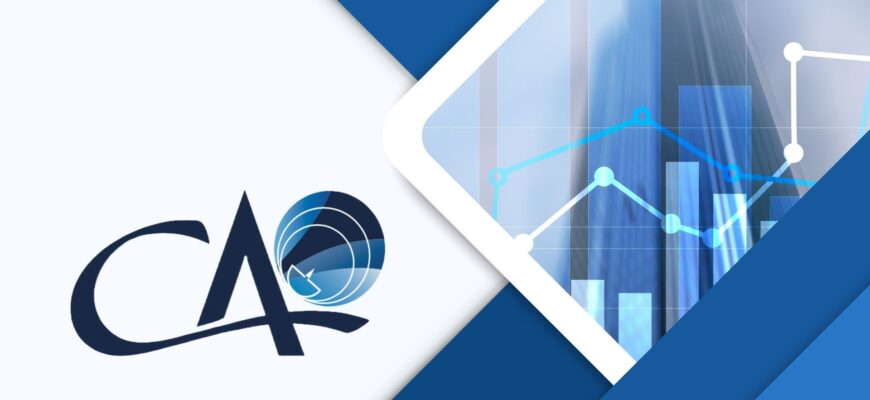 analiza rapoartelor anuale