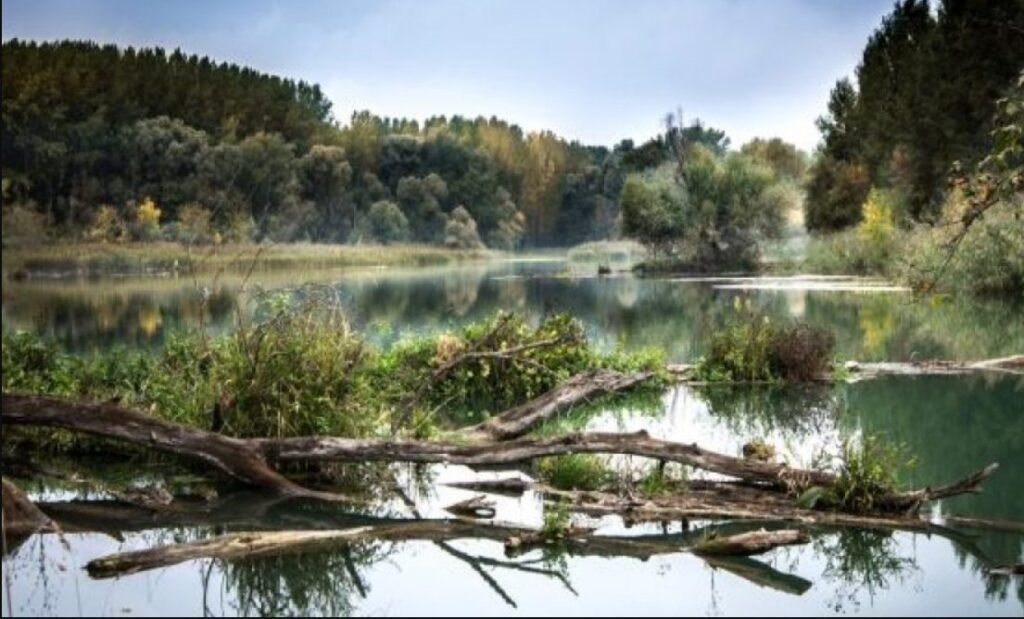 Cod roșu, cod portocaliu și cod galben de scurgeri mici de apă în majoritatea râurilor din Republica Moldova