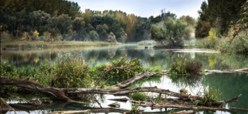 cod rosu cod portocaliu si cod galben