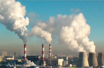 reducem semnificativ emisiile de bioxid de carbon