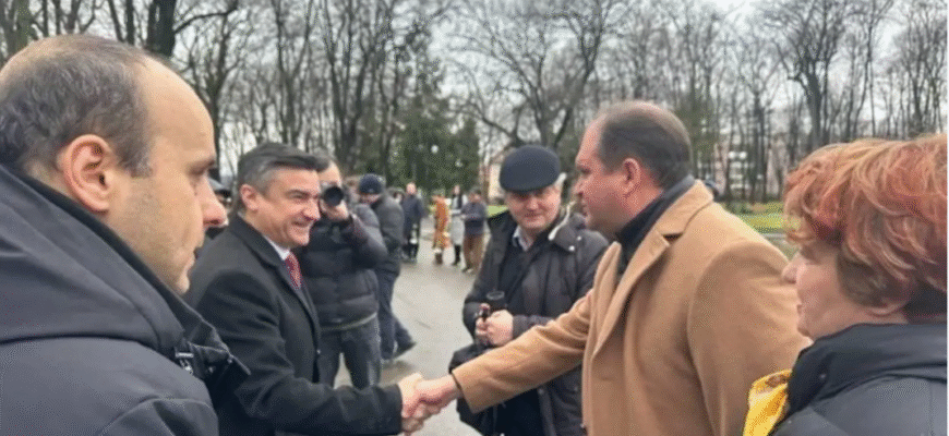 suspendarea infratirii