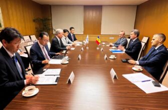 540981951 1371246055006373 8583034318577309874 n