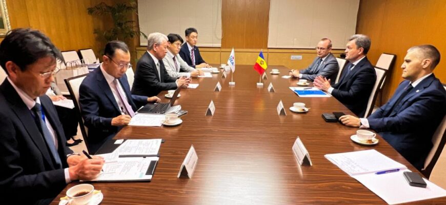 540981951 1371246055006373 8583034318577309874 n