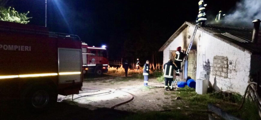 542056625 1176118237887559 7529893994459534875 n