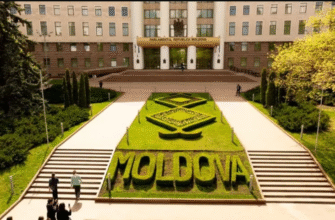 alegerile parlamentare