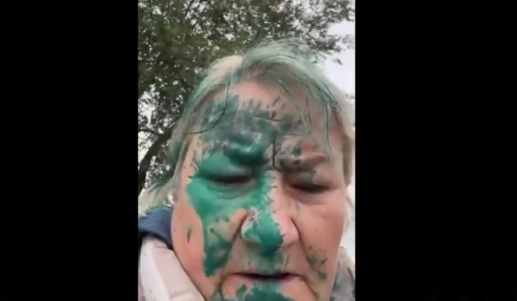 VIDEO// Maria Olari a fost stropită cu verde de briliant, în timp ce pleca la o ședință: ”Asta se întâmplă în Republica Moldova”