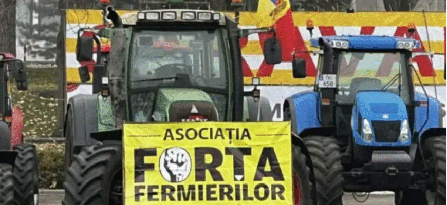 fermierii din moldova