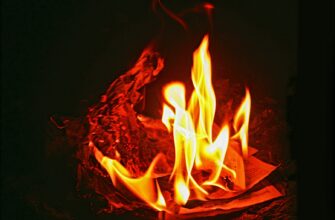 fire in the dark during night time