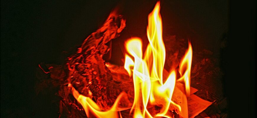 fire in the dark during night time