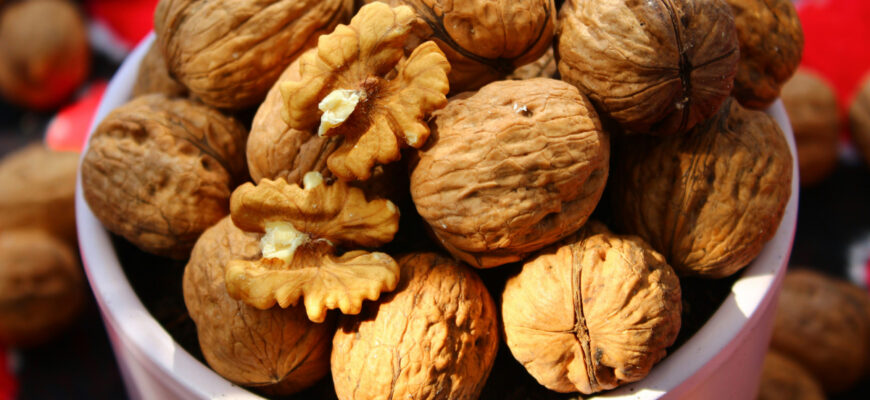 mustafa akin zuhlefy ona unsplash 92532000