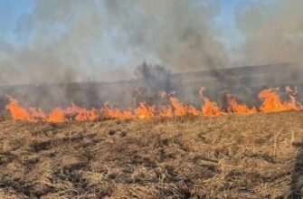 viber image 2025 09 15 09 30 30 035