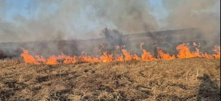 viber image 2025 09 15 09 30 30 035