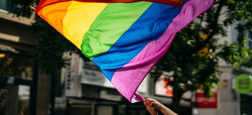 people holding flags during daytime