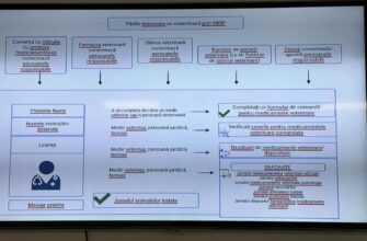 52fe7111 7733 454e 8b5d cbdbd11113ce 1