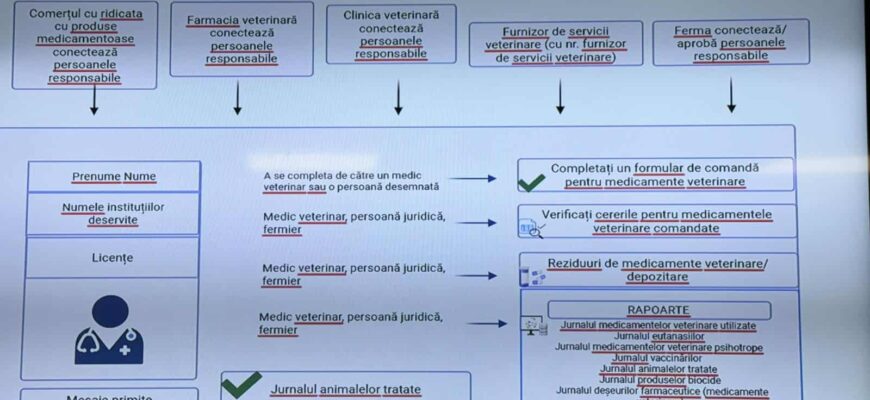 52fe7111 7733 454e 8b5d cbdbd11113ce 1