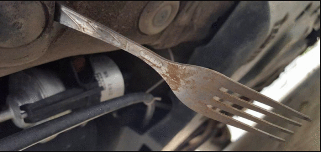 a atacat amicul cu o furculita