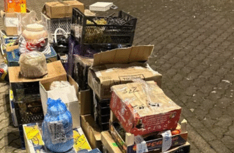 captura de ecran 2025 11 24 144332