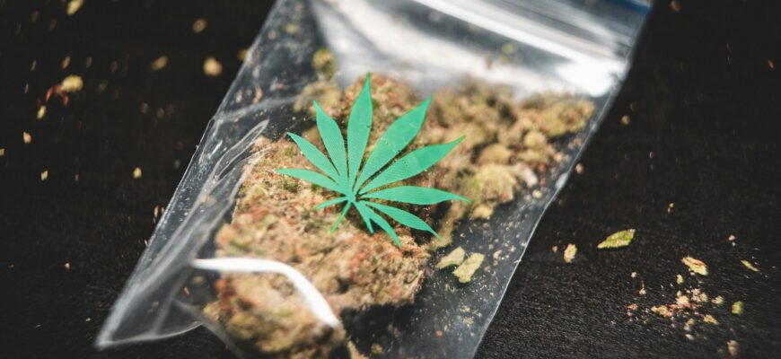 ground cannabis on clear plastic bag