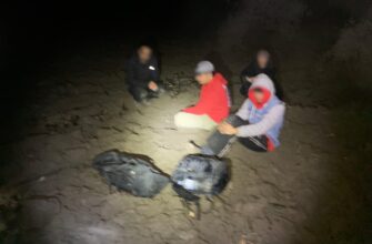 whatsapp image 2025 11 19 at 13.12.36