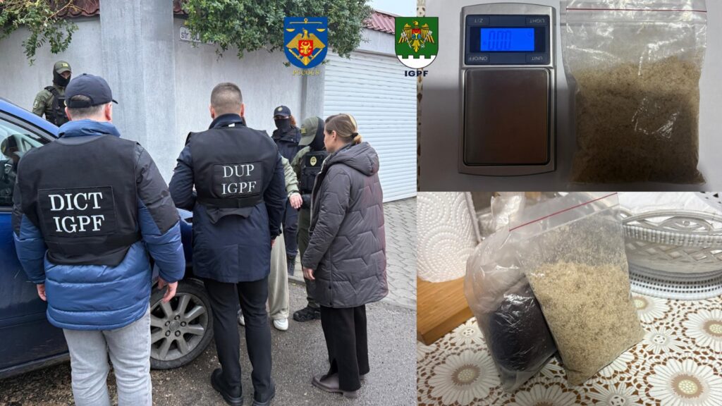 whatsapp image 2025 11 24 at 16.51.53