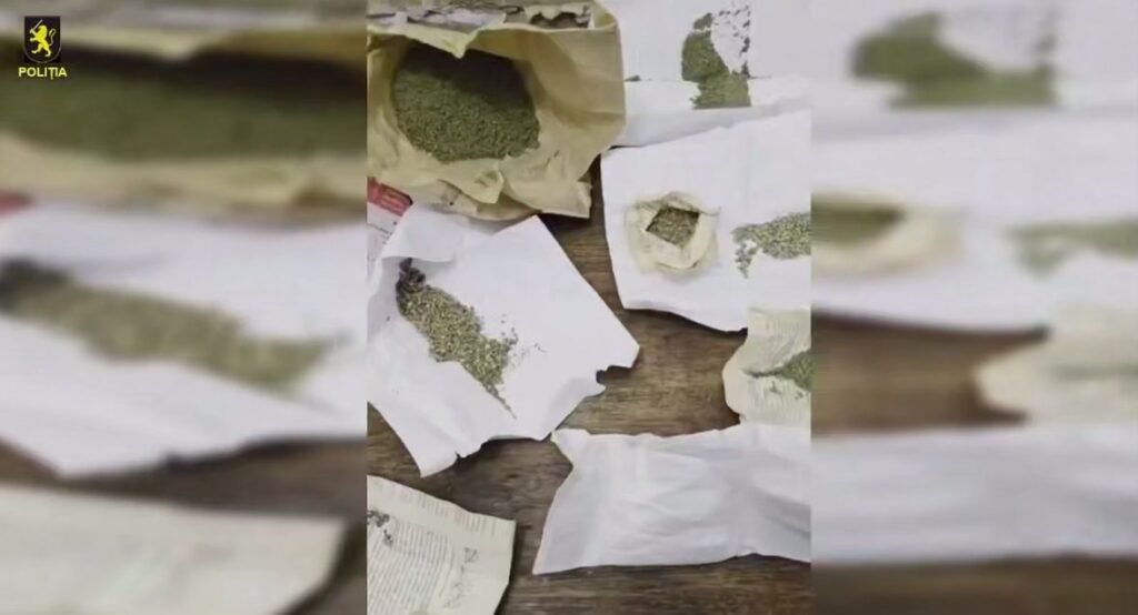 Un bărbat de 53 de ani din Chișinău a fost reținut pentru cultivarea și comercializarea ilegală a drogurilor în proporții deosebit de mari