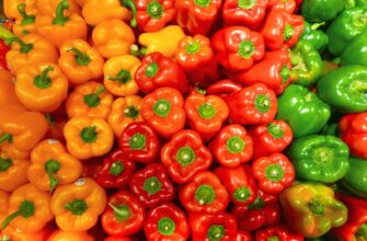 orange bell peppers on white ceramic plate