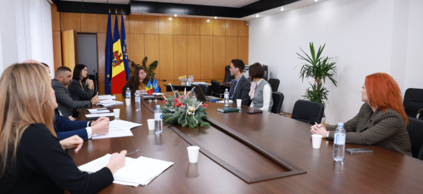 in discutii cu expertul fmi