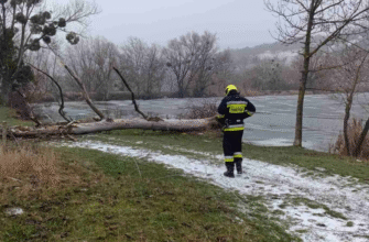 salvatorii si pompierii