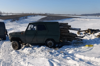 Tăiere ilegală de arbori depistată la frontiera de stat. Polițiștii SPF Ocnița au confiscat masă lemnoasă fără acte 8 captura de ecran 2026 01 23 095757