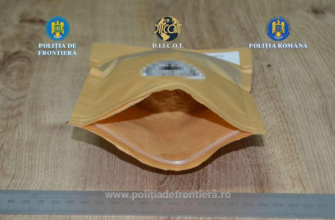 captura de ecran 2026 01 29 122111