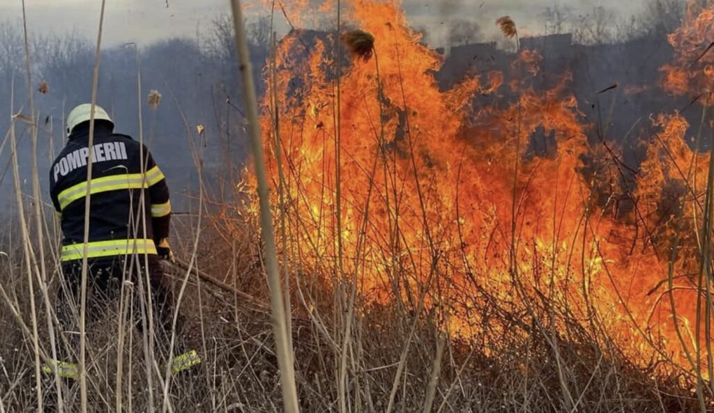 Pompierii IGSU atenționează repetat cetățenii despre riscul major al incendiilor de vegetație
