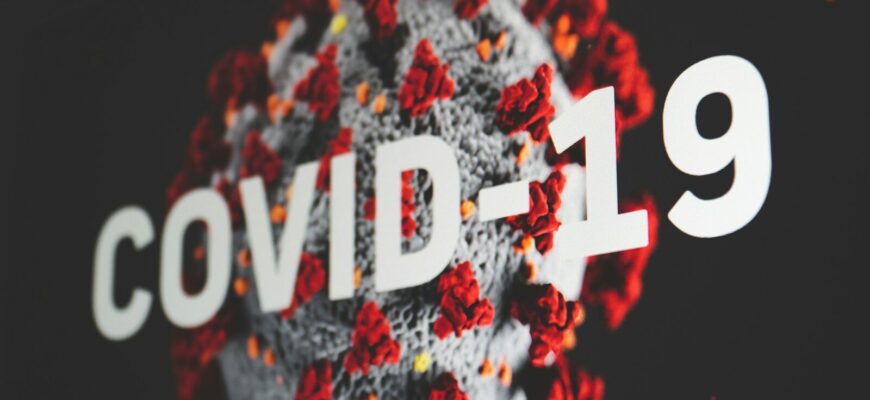 red white and black textile