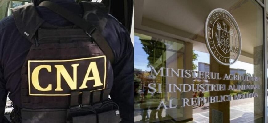 Secretarul de Stat al Ministerul Agriculturii și reprezentantul unui agent economic, reținuți de CNA și procurorii anticorupție într-un dosar de corupție