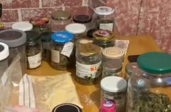 Un bărbat de 48 ani din Strășeni a fost plasat în arest fiind bănuit de cultivarea și comercializarea marijuanei și a ciupercilor cu efect halucinogen 2 Un bărbat de 48 ani din Strășeni a fost plasat în arest fiind bănuit de cultivarea și comercializarea marijuanei și a ciupercilor cu efect halucinogen