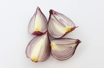 sliced red onion