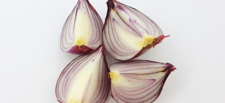 sliced red onion