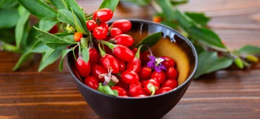8 efecte surprinzătoare ale ceaiului de măceșe asupra sănătății. Ce se întâmplă în organism dacă îl bei